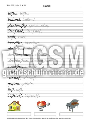 DSS_2S_Bu_ß_Nr_05.pdf